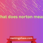 what does norton mean