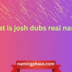 what is josh dubs real name