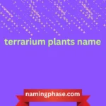 terrarium plants name