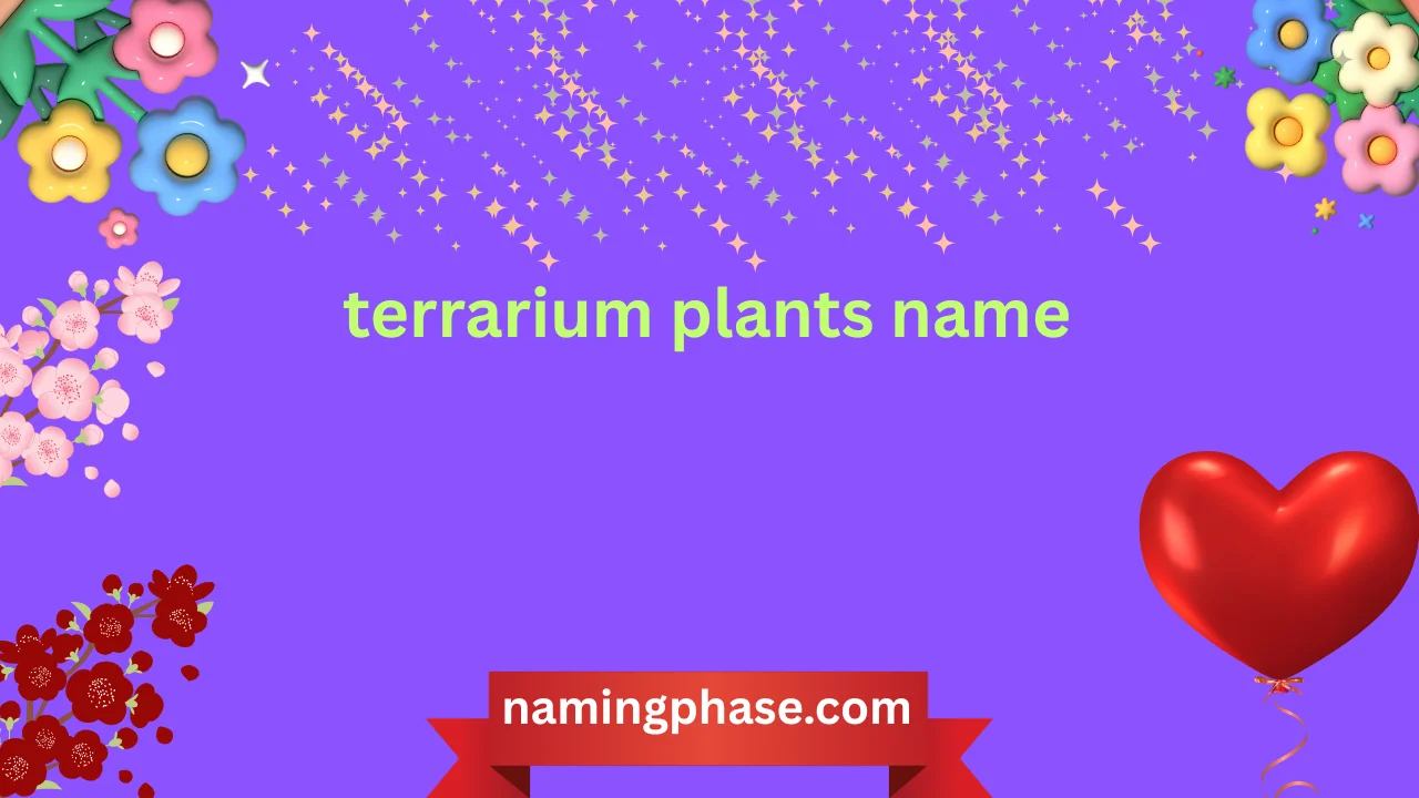 terrarium plants name